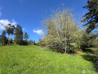 9999 Elks Pass Road , Sequim, WA 98382 - Photo 13