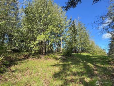 9999 Elks Pass Road , Sequim, WA 98382 - Photo 14