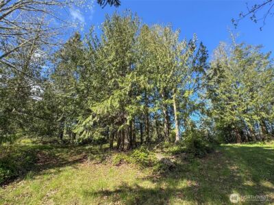 9999 Elks Pass Road , Sequim, WA 98382 - Photo 15