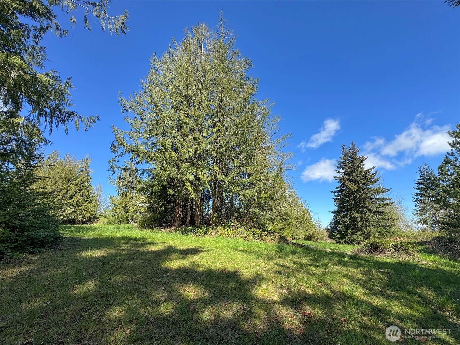 9999 Elks Pass Road , Sequim, WA 98382