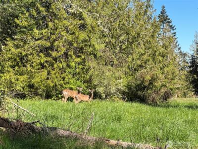 9999 Elks Pass Road , Sequim, WA 98382 - Photo 17