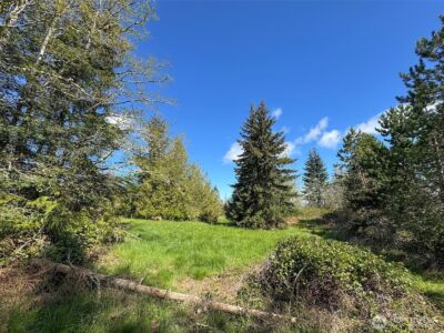 9999 Elks Pass Road , Sequim, WA 98382 - Photo 18