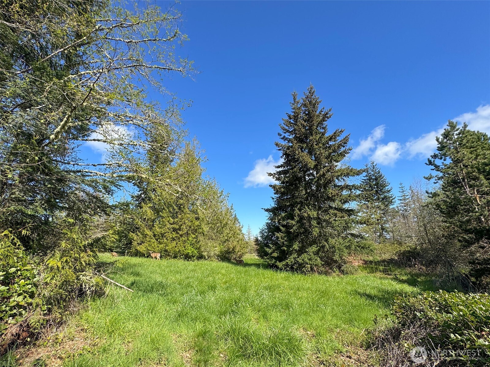 9999 Elks Pass Road , Sequim, WA 98382