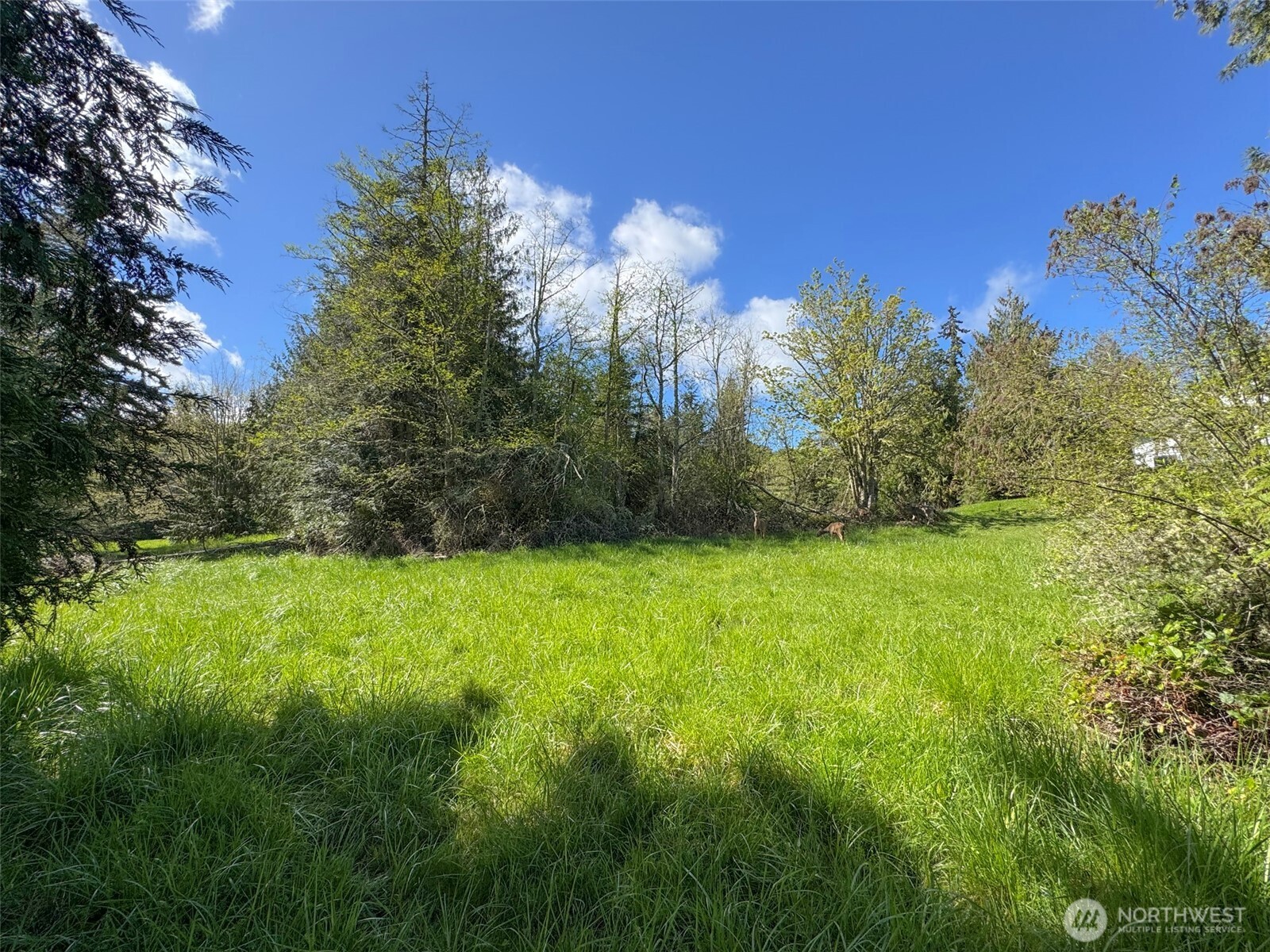 9999 Elks Pass Road , Sequim, WA 98382