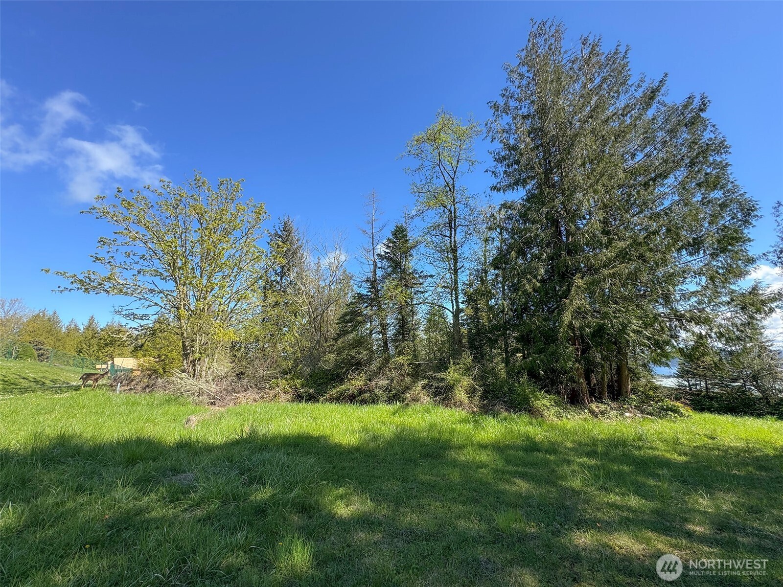 9999 Elks Pass Road , Sequim, WA 98382