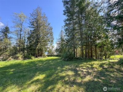 9999 Elks Pass Road , Sequim, WA 98382 - Photo 33