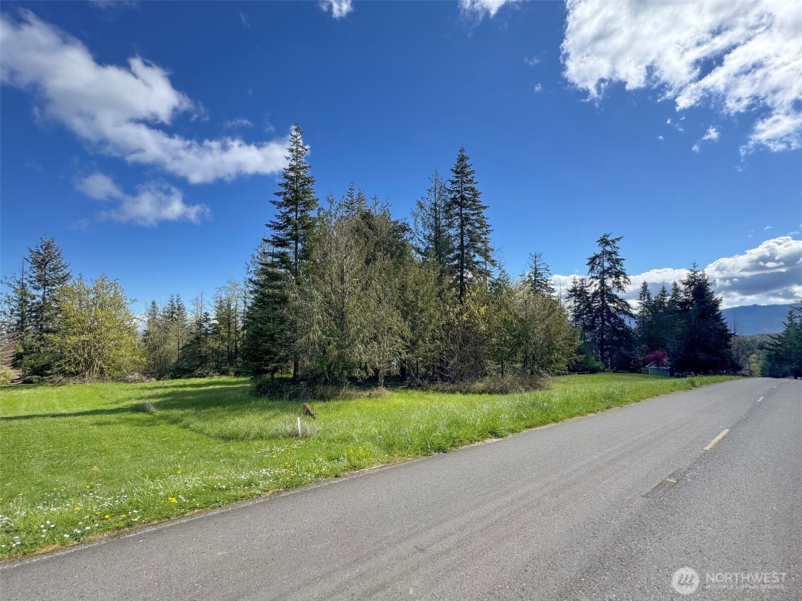 9999 Elks Pass Road , Sequim, WA 98382