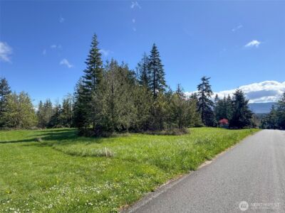 9999 Elks Pass Road , Sequim, WA 98382 - Photo 8