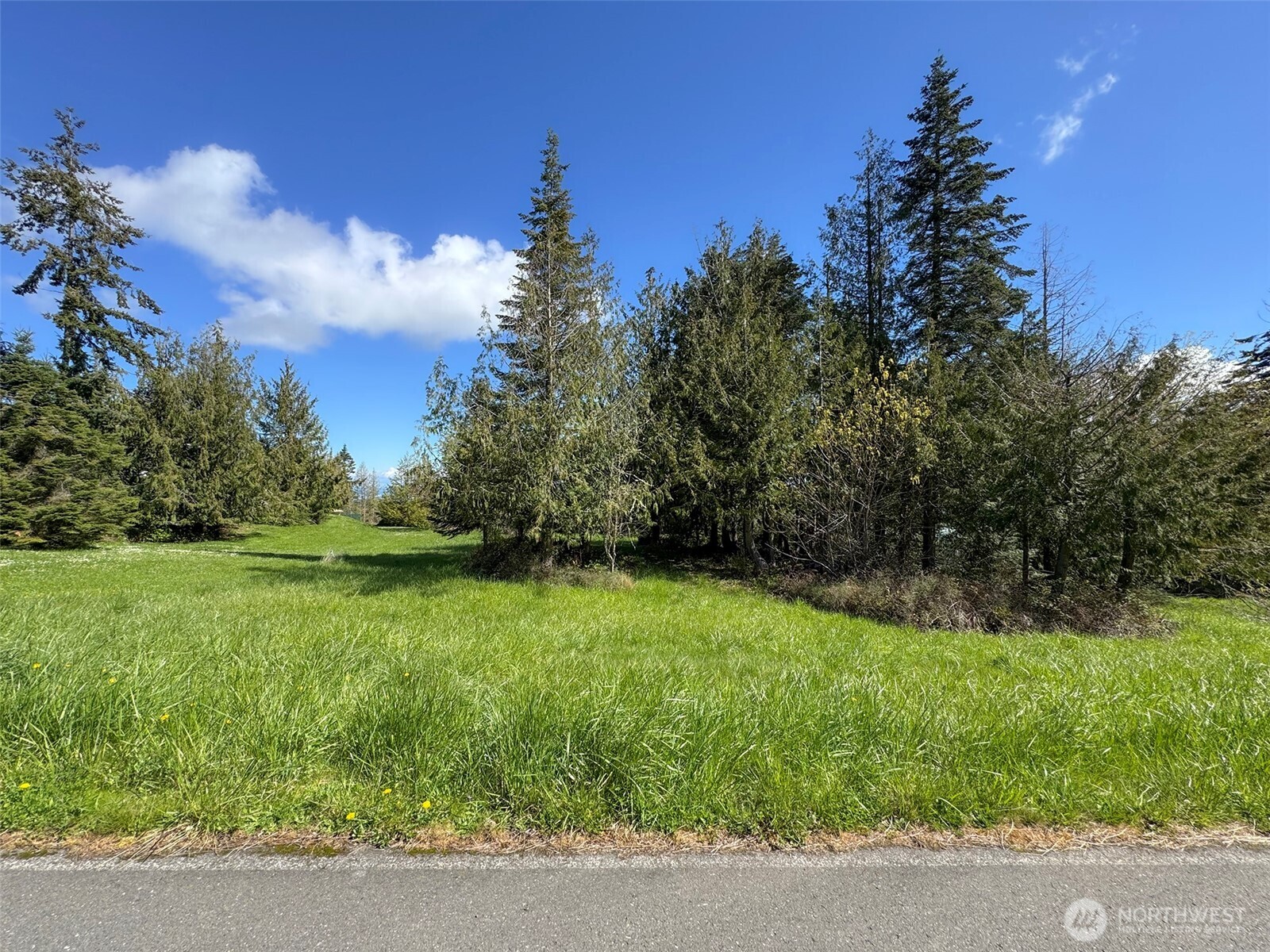 9999 Elks Pass Road , Sequim, WA 98382