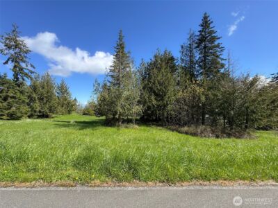 9999 Elks Pass Road , Sequim, WA 98382 - Photo 9