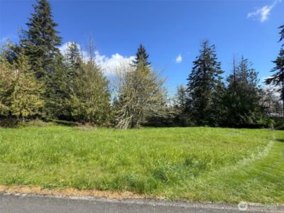 9999 Elks Pass Road , Sequim, WA 98382 - Photo 10