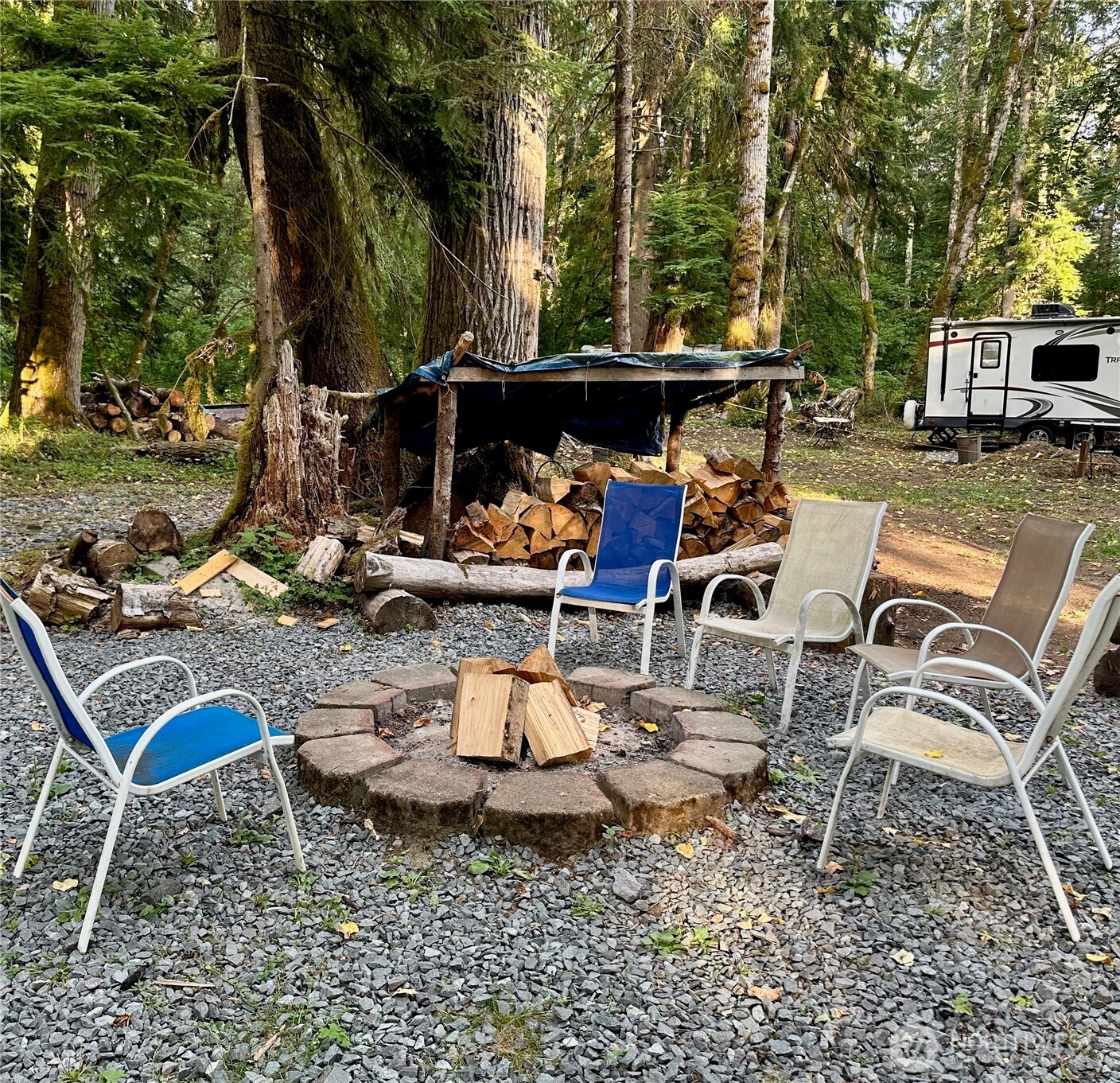55918 317th Avenue E, Ashford, WA 98304