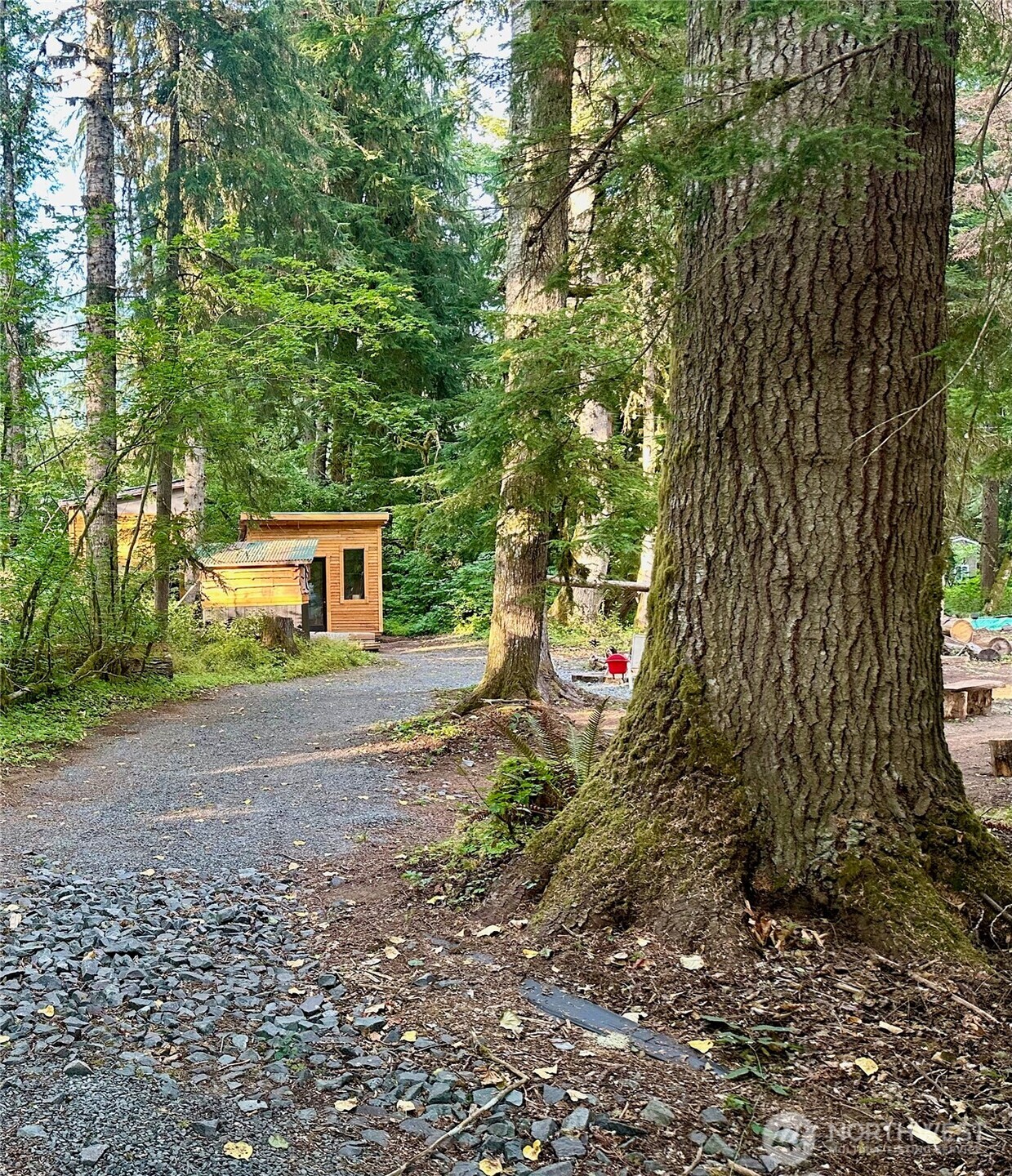 55918 317th Avenue E, Ashford, WA 98304