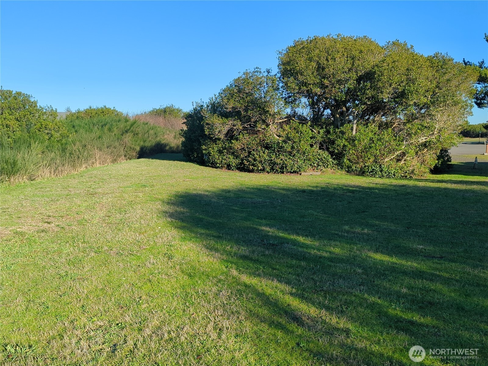 965 Adak Court SE, Ocean Shores, WA 98569