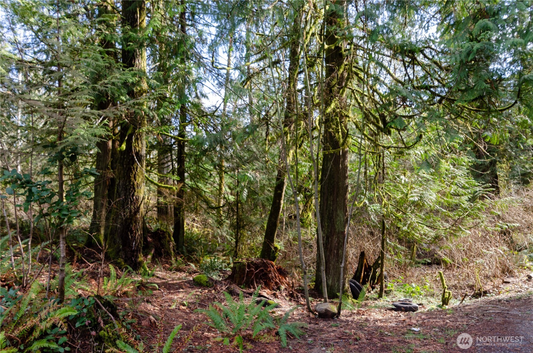 1 XXX 144th Street NW, Gig Harbor, WA 98329
