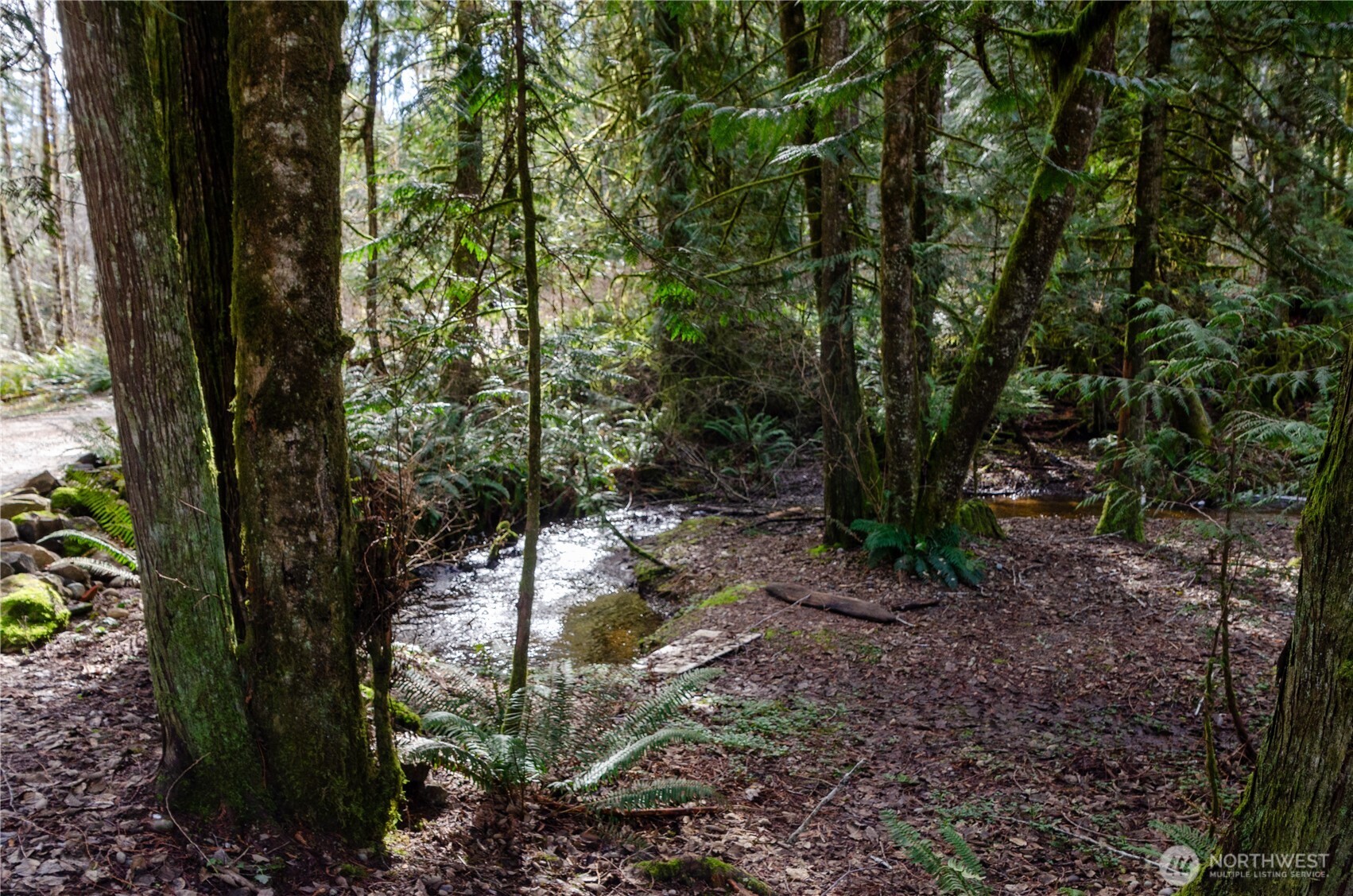 1 XXX 144th Street NW, Gig Harbor, WA 98329