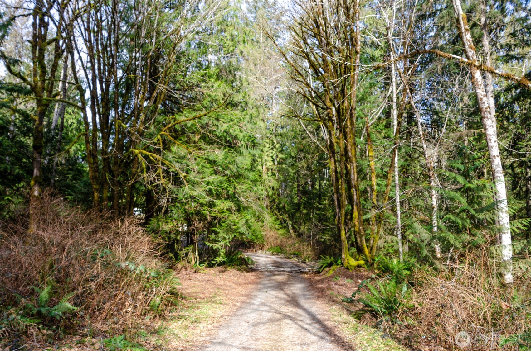 1 XXX 144th Street NW, Gig Harbor, WA 98329