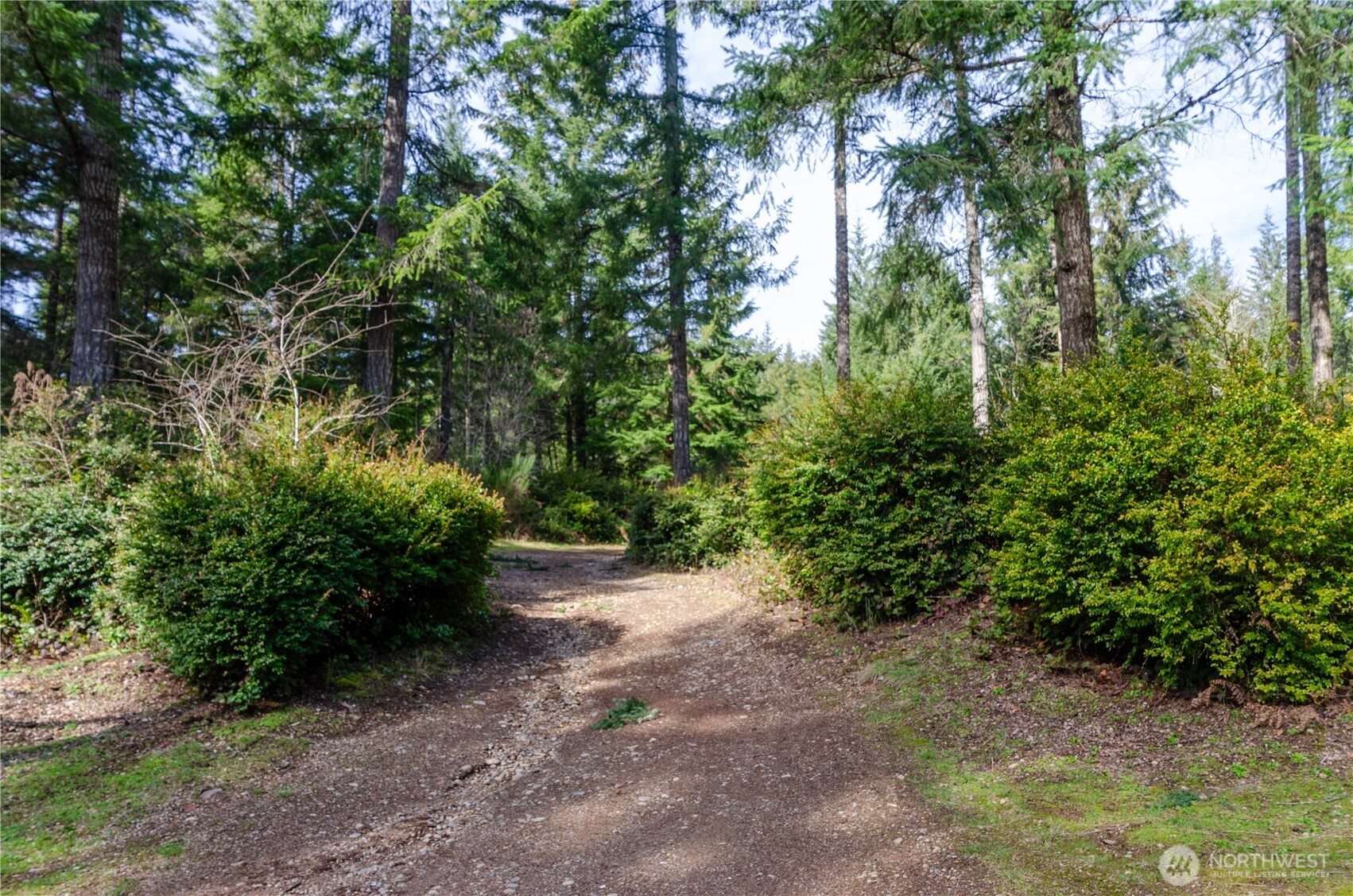 1 XXX 144th Street NW, Gig Harbor, WA 98329