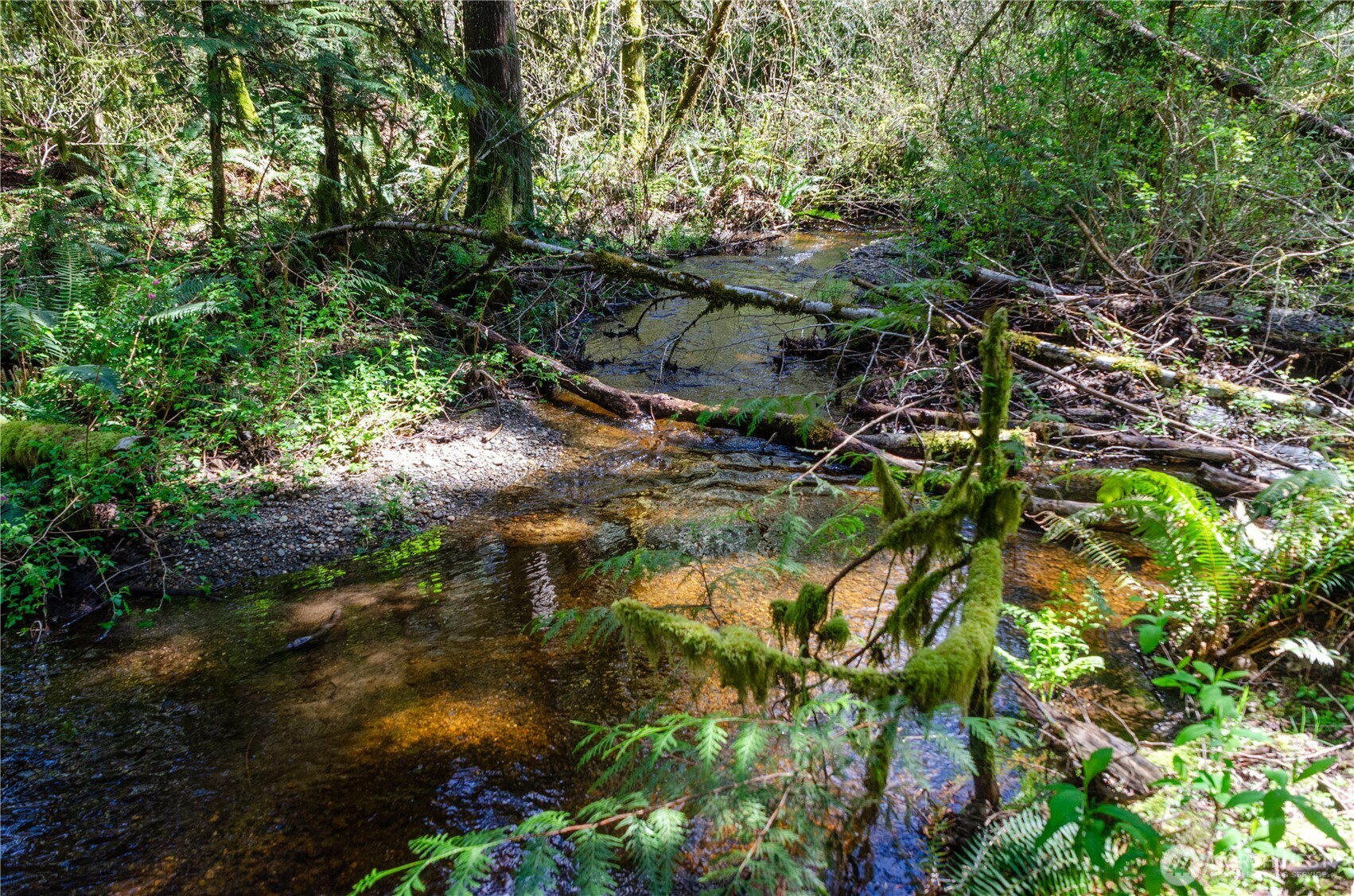 1 XXX 144th Street NW, Gig Harbor, WA 98329
