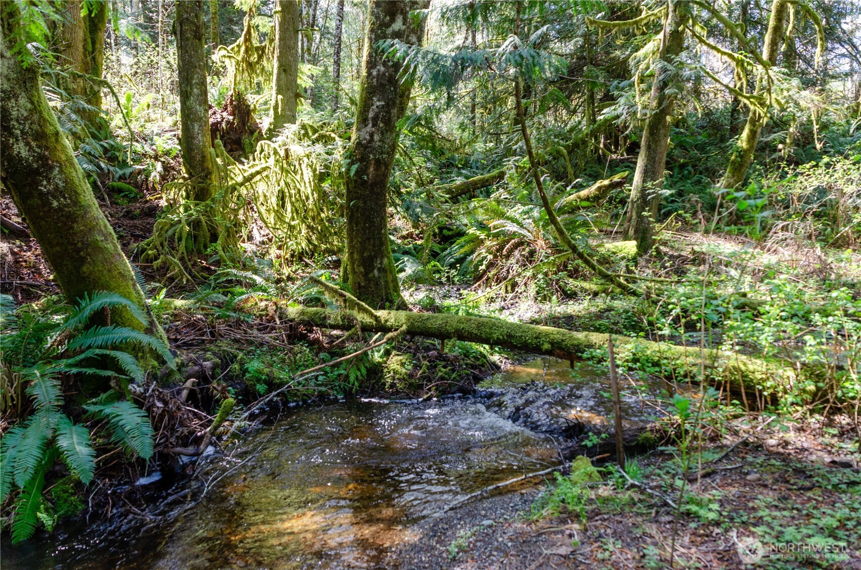1 XXX 144th Street NW, Gig Harbor, WA 98329