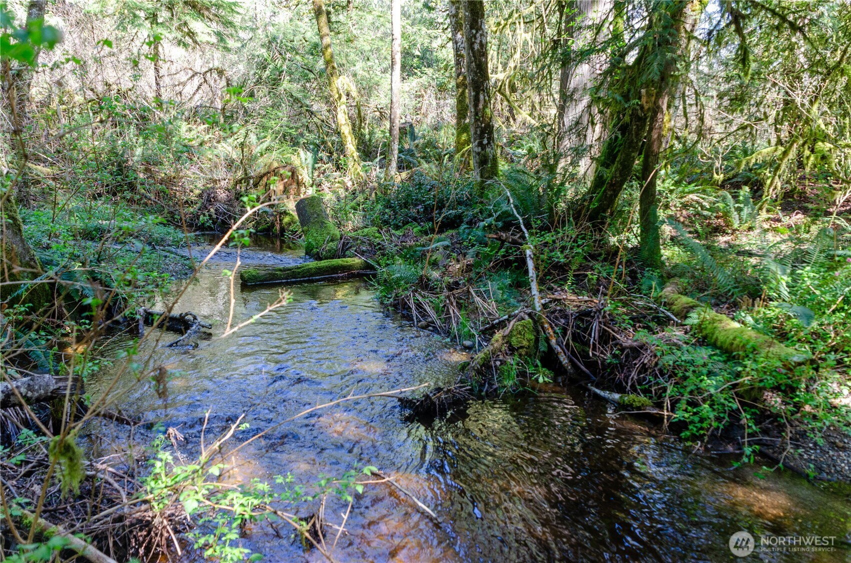 1 XXX 144th Street NW, Gig Harbor, WA 98329