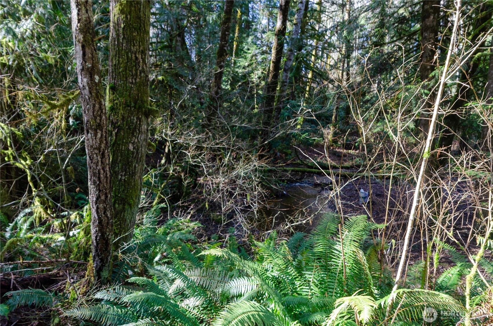 1 XXX 144th Street NW, Gig Harbor, WA 98329