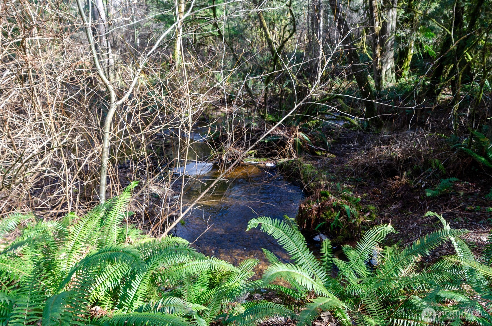 1 XXX 144th Street NW, Gig Harbor, WA 98329