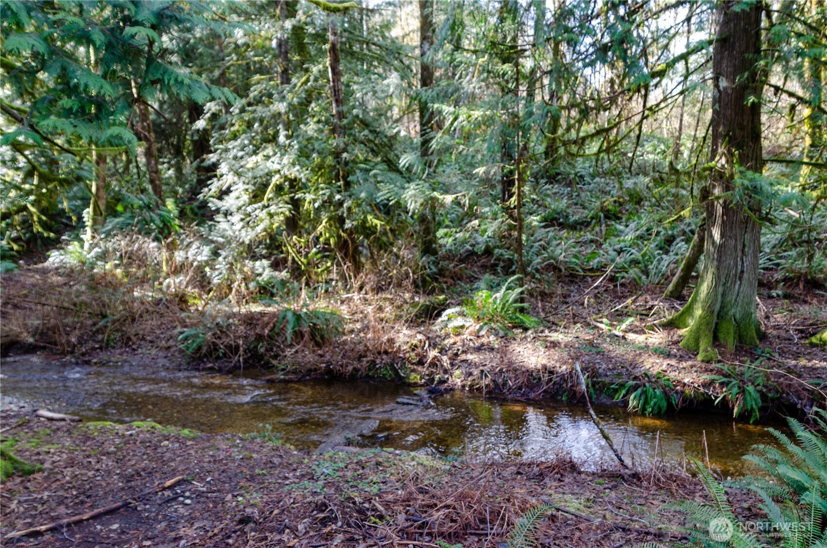 1 XXX 144th Street NW, Gig Harbor, WA 98329