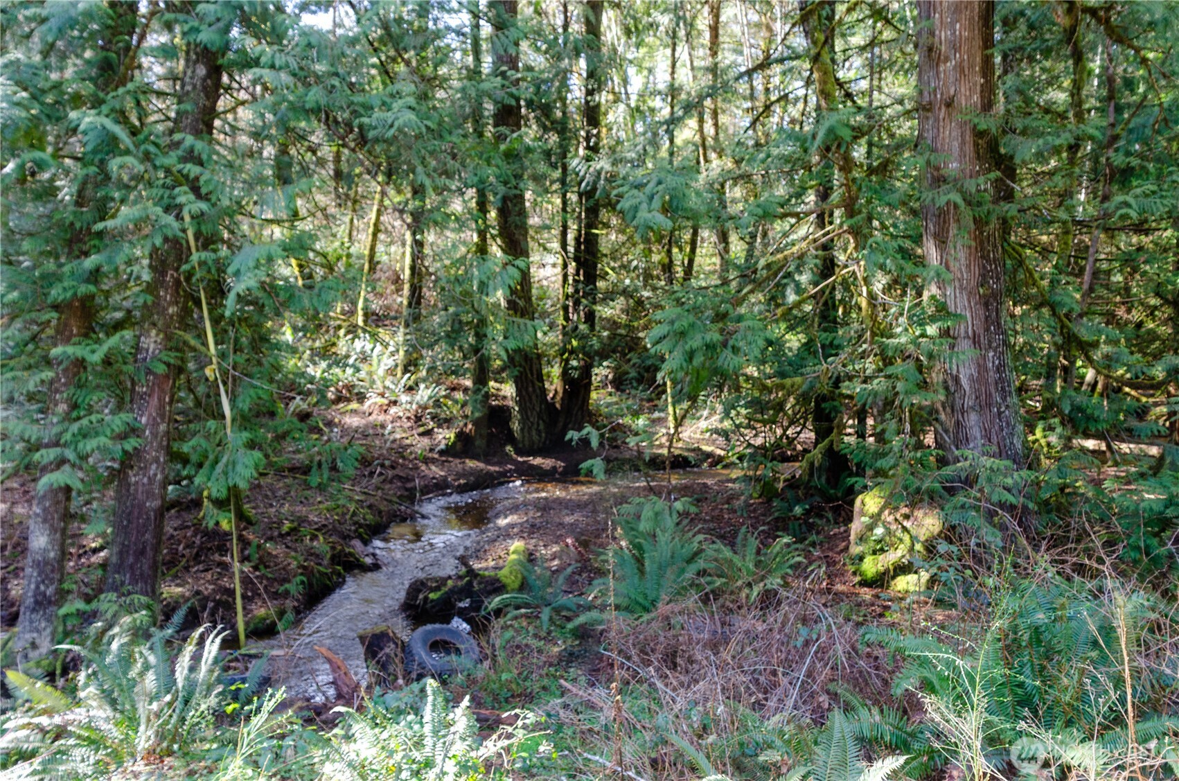 1 XXX 144th Street NW, Gig Harbor, WA 98329