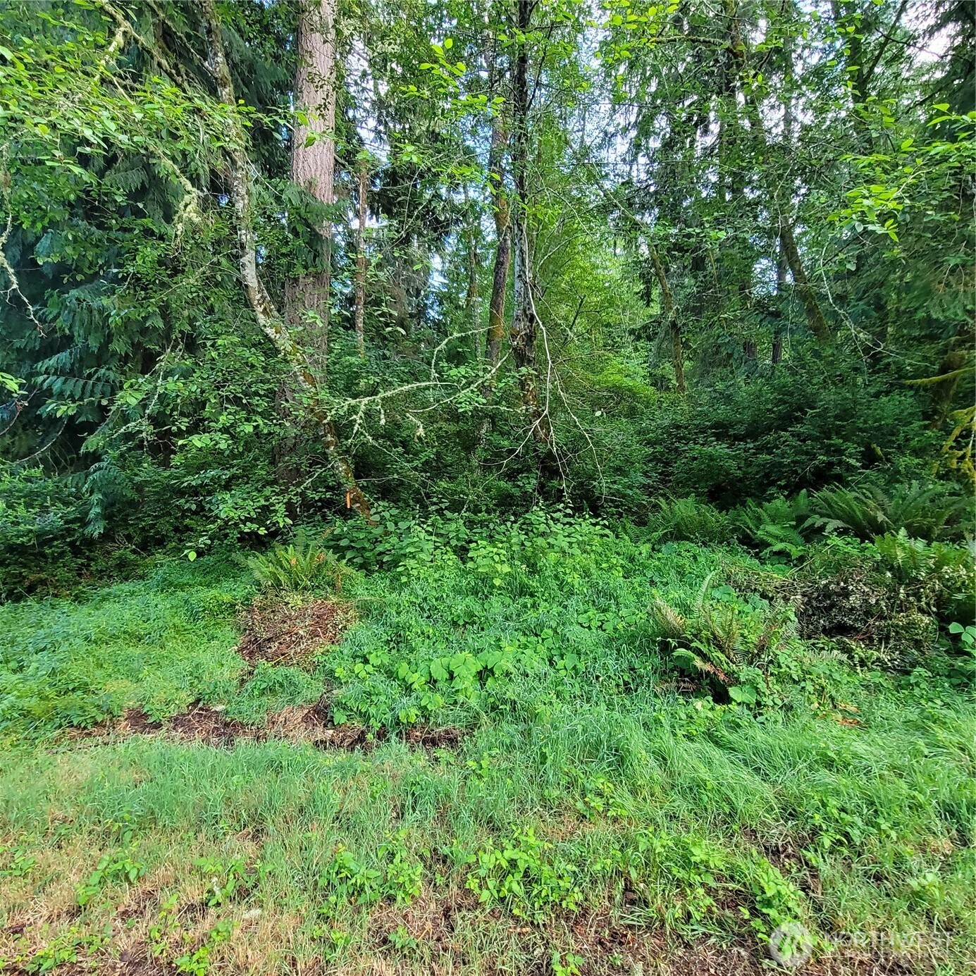 12726 96th Street Ct , Anderson Island, WA 98303