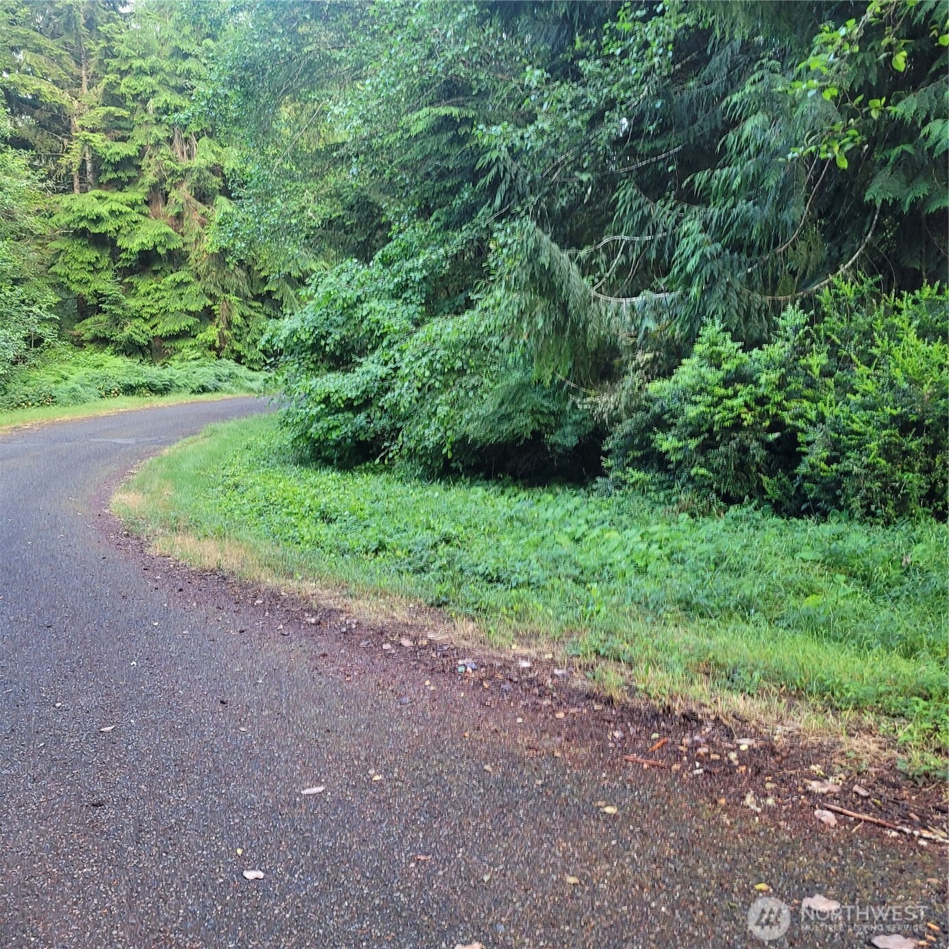 12726 96th Street Ct , Anderson Island, WA 98303