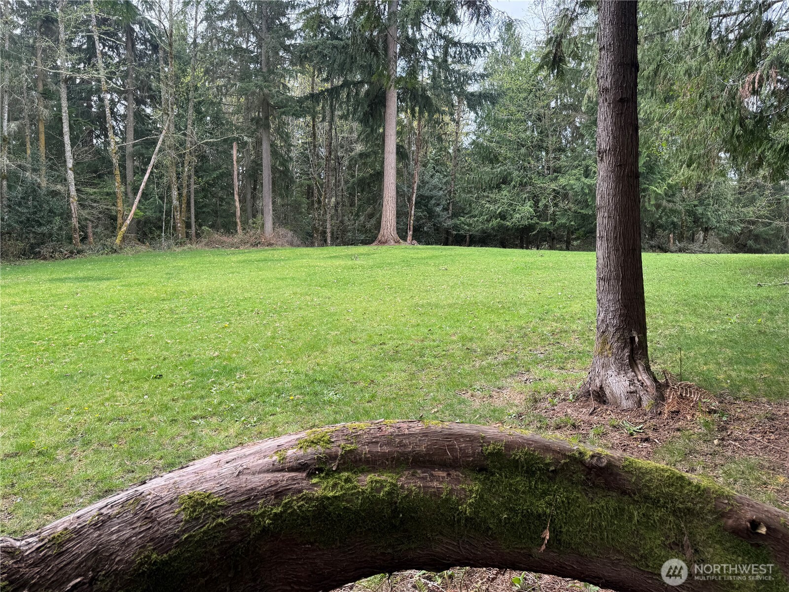 0 163rd Street E, Wilkeson, WA 98396