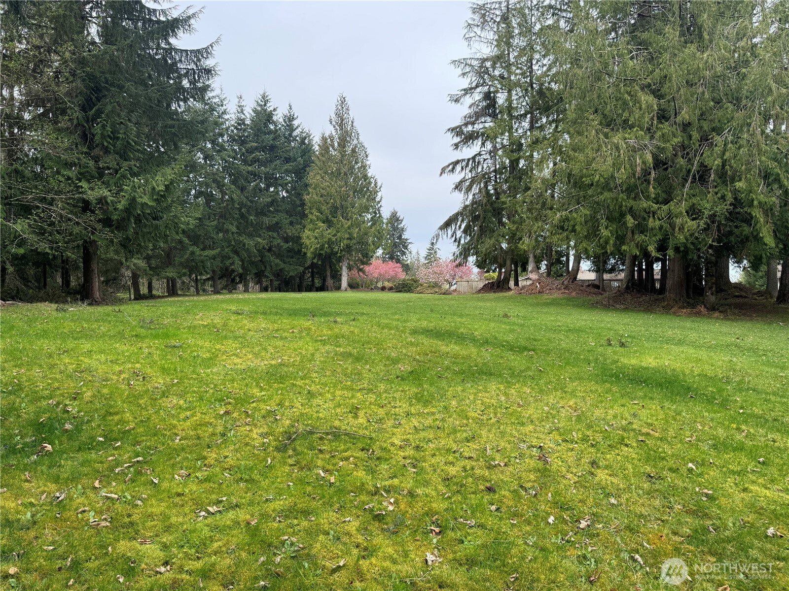 0 163rd Street E, Wilkeson, WA 98396