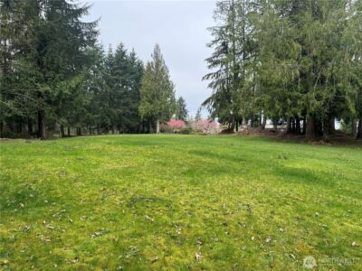 0 163rd Street E, Wilkeson, WA 98396 - Photo 4