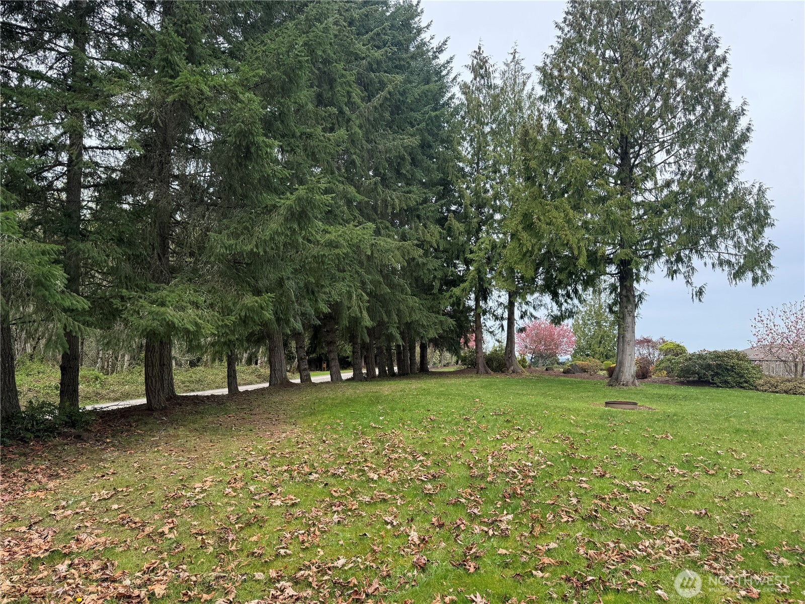 0 163rd Street E, Wilkeson, WA 98396