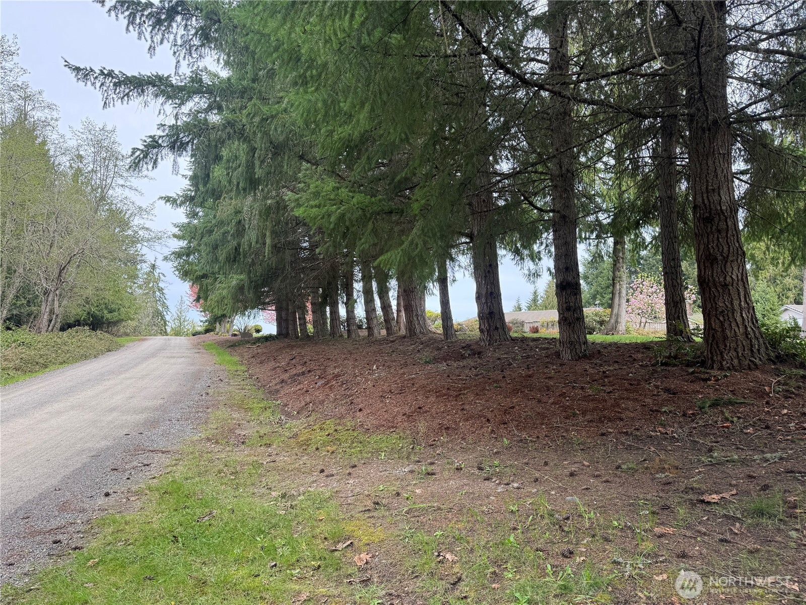 0 163rd Street E, Wilkeson, WA 98396