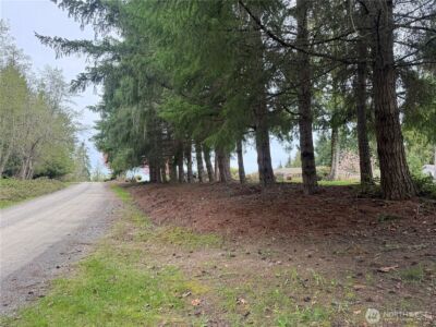 0 163rd Street E, Wilkeson, WA 98396 - Photo 9