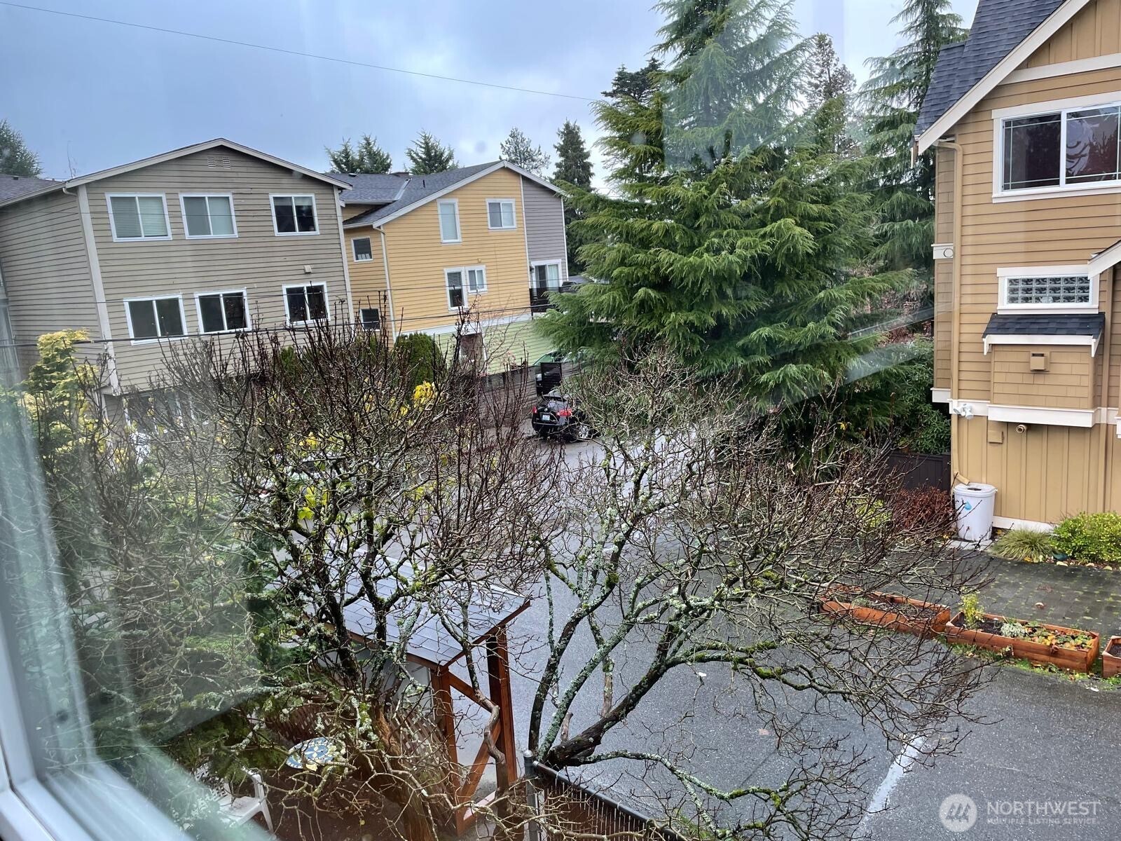 731 N 94th Street #8, Seattle, WA 98103