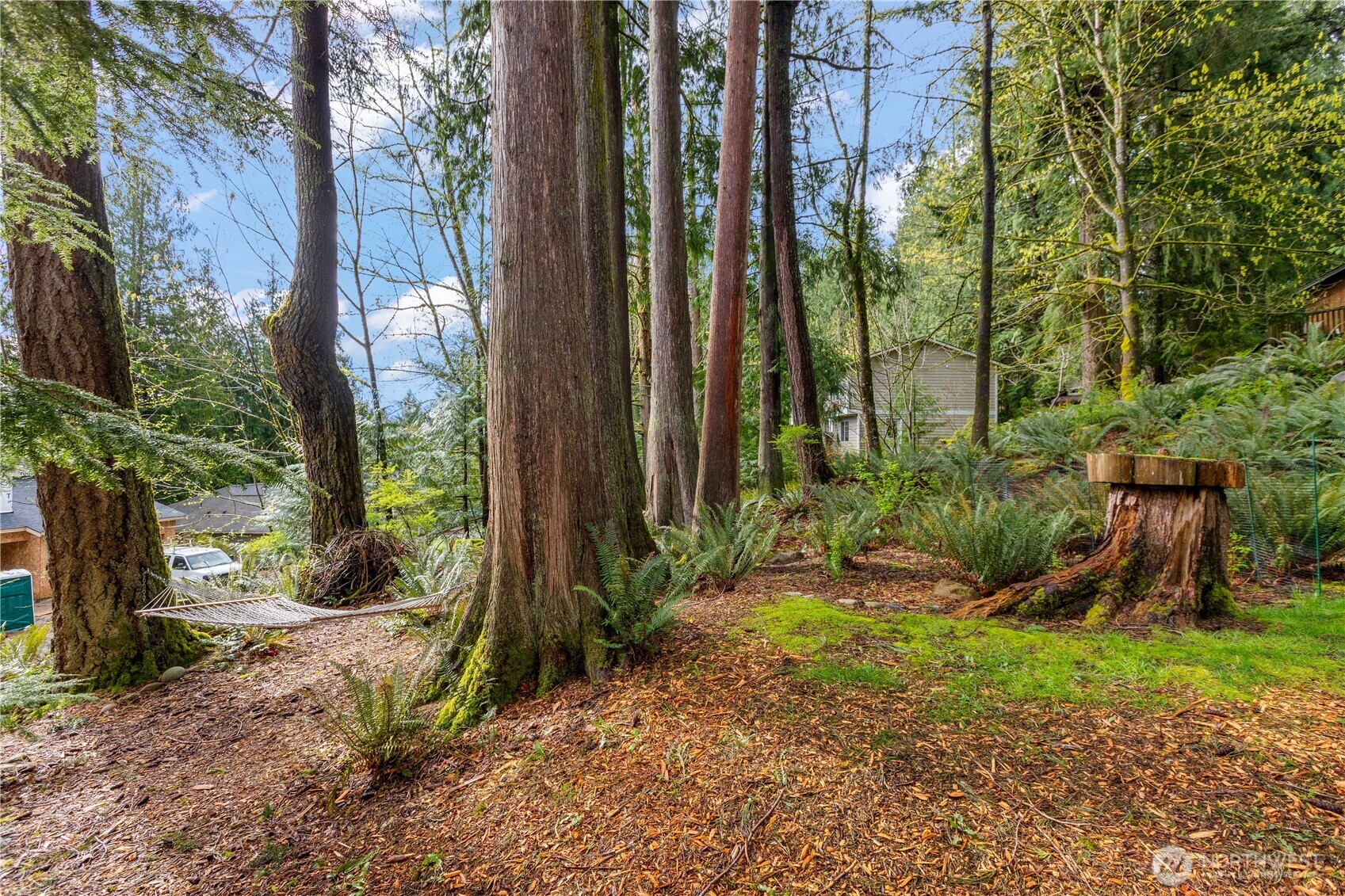 2 Kinglet Court , Bellingham, WA 98229