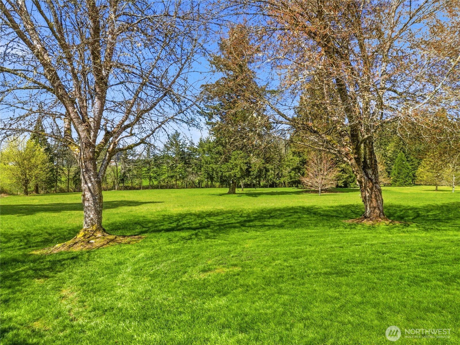 2425 140th Avenue SW, Tenino, WA 98589