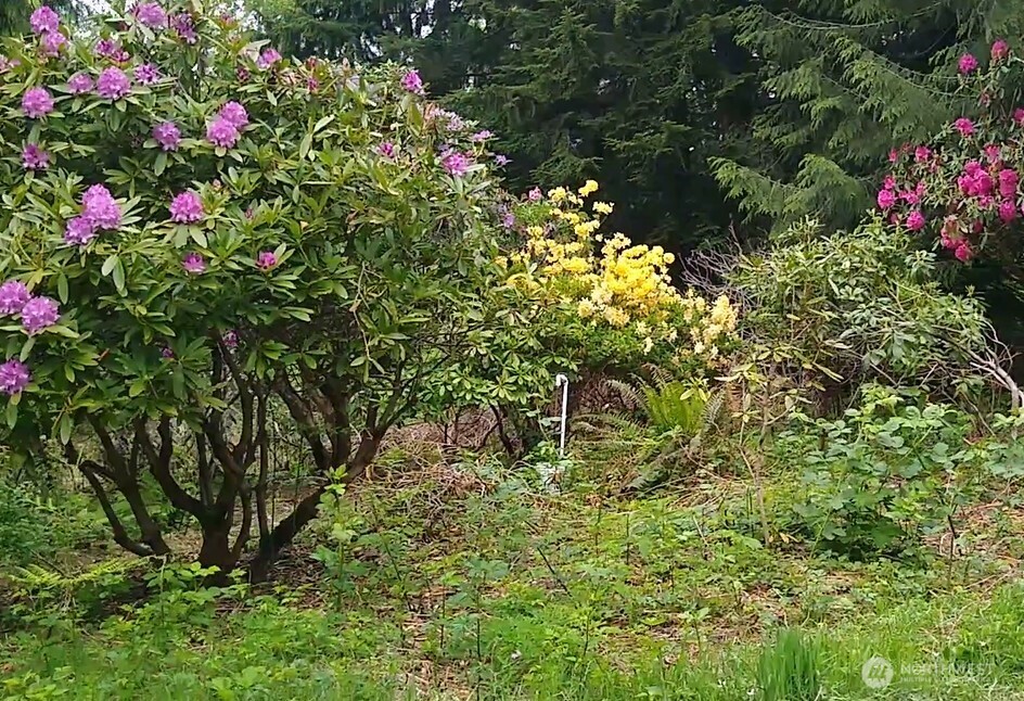 34502 SE 325th Street , Ravensdale, WA 98051