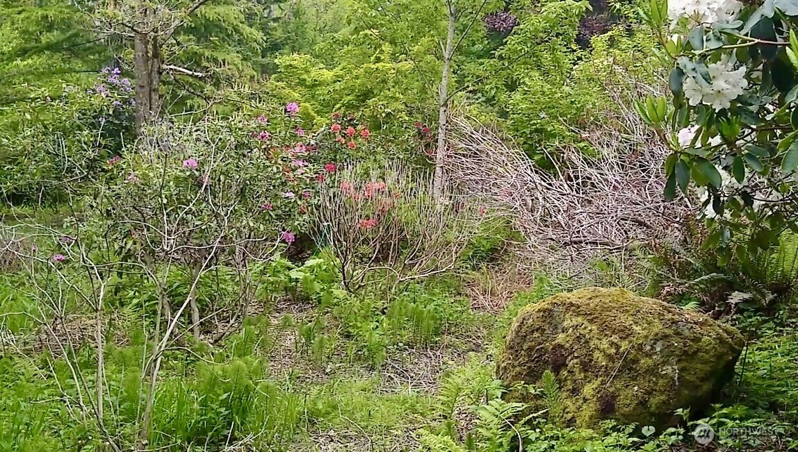 34502 SE 325th Street , Ravensdale, WA 98051