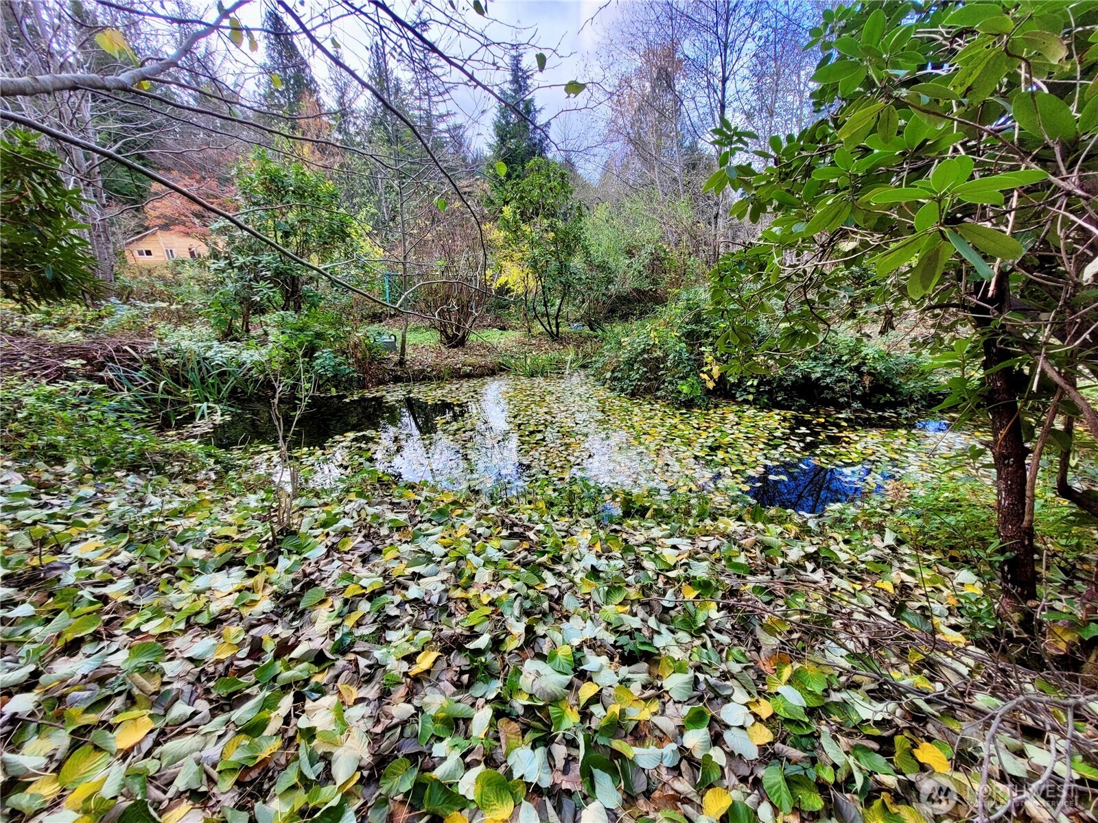 34502 SE 325th Street , Ravensdale, WA 98051