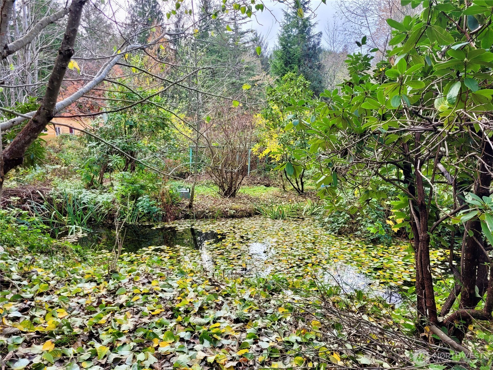 34502 SE 325th Street , Ravensdale, WA 98051