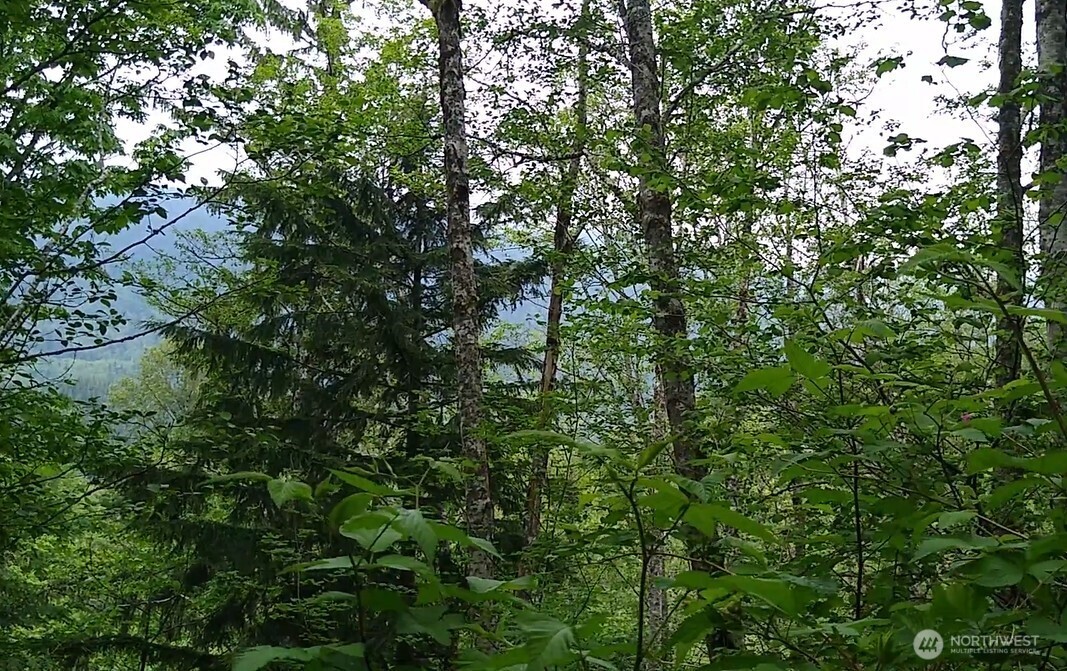 34502 SE 325th Street , Ravensdale, WA 98051