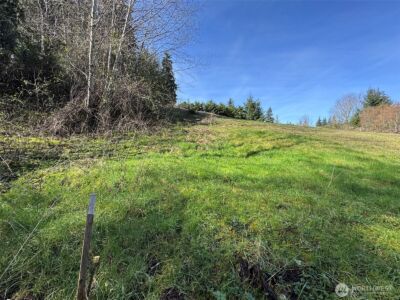 0 Lot 18 Delguzzi Drive , Port Angeles, WA 98362 - Photo 12