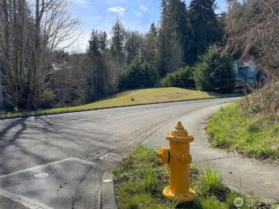 0 Lot 18 Delguzzi Drive , Port Angeles, WA 98362 - Photo 17