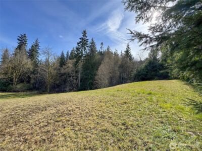 0 Lot 18 Delguzzi Drive , Port Angeles, WA 98362 - Photo 4