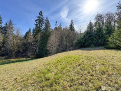 0 Lot 18 Delguzzi Drive , Port Angeles, WA 98362 - Photo 6