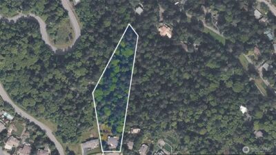 2420 Squak Mountain Loop SW, Issaquah, WA 98027 - Photo 35